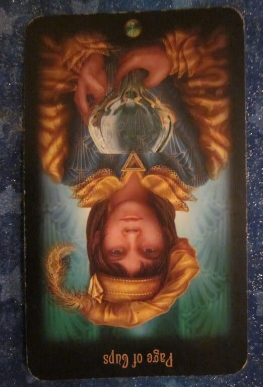 Everyday Tarot, 05/11/11: “I am NOT you!” says the Inverted Page of Cups