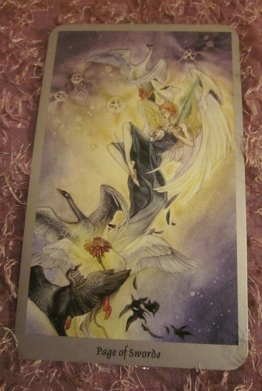 Everyday Tarot, 06/04/11: Know Your Baby / Page of Swords Everyday Tarot