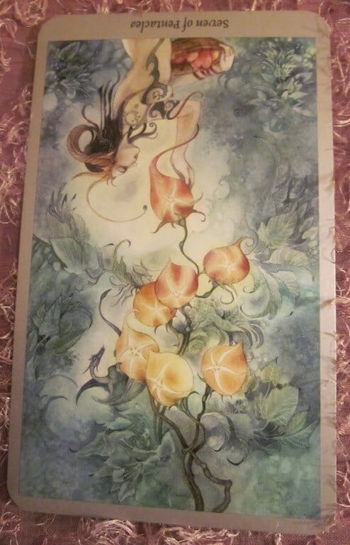 Everyday Tarot, 07/06/11: How’s the garden grow? Rev Seven of Pentacles
