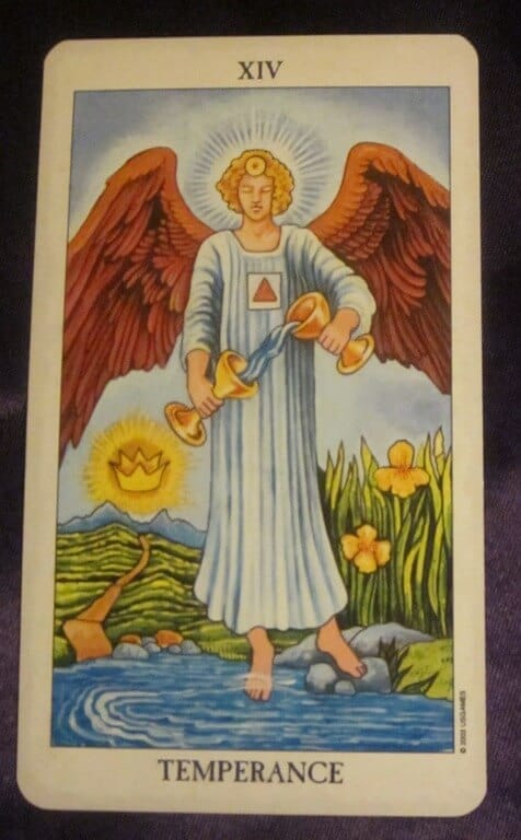 Everyday Tarot, 07/03/11: Temperance Blender Everyday Tarot