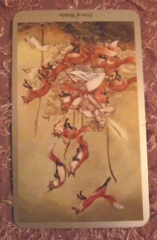 08/22/11: Conflict Zen | Reversed Five of Wands