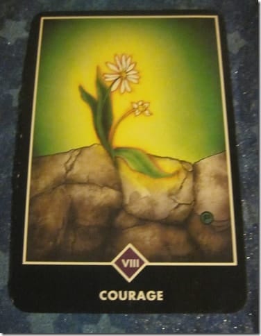 09/04/11: Courage to Bloom | Strength