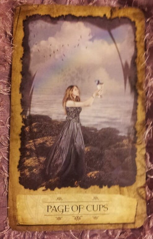 01/25/12: From the Heart | Page of Cups Everyday Tarot