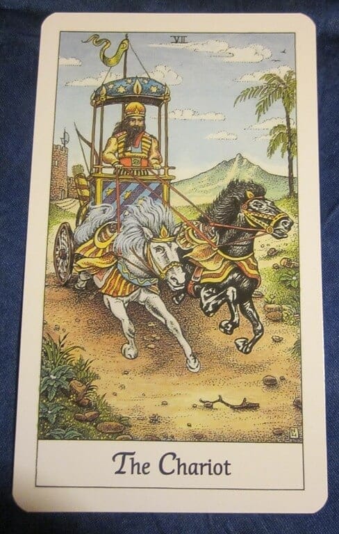 01/04/11: Heart-Driven | The Chariot