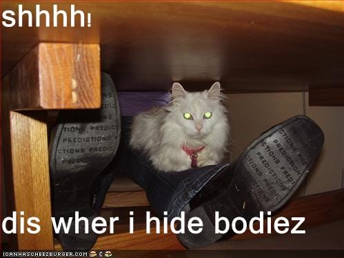 Remembering Where You Hid the Bodies