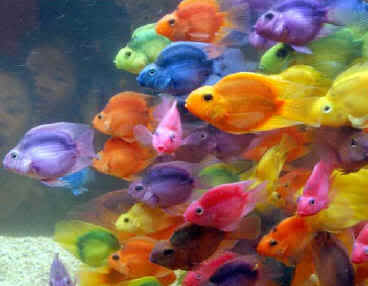 Relative Reality: Who's Nuts? Magick