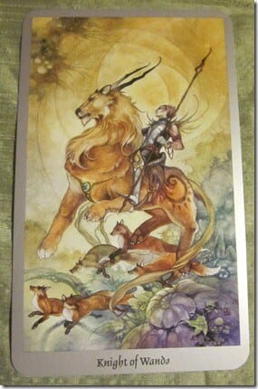 02/29/12: Light Touch | Knight of Wands