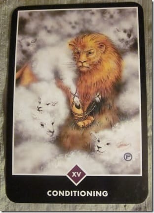 02/05/12: Look in the Mirror | The Devil