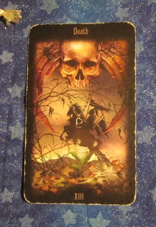 04/29/12: Compost | Death