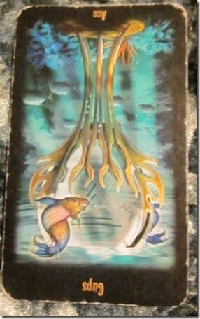 05/18/12: Emotional Burnout | Reversed Ace of Cups