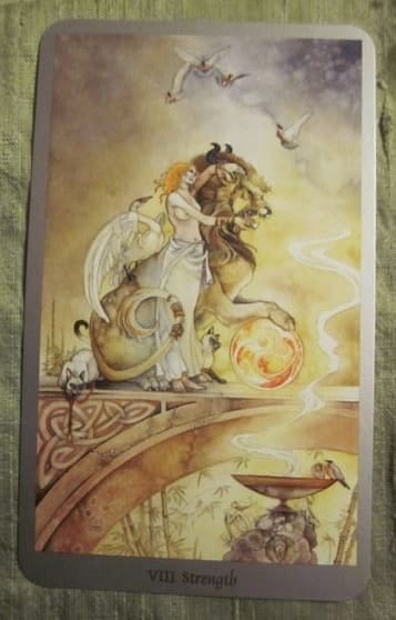 05/30/12: Willing Friendly Beasts | Strength