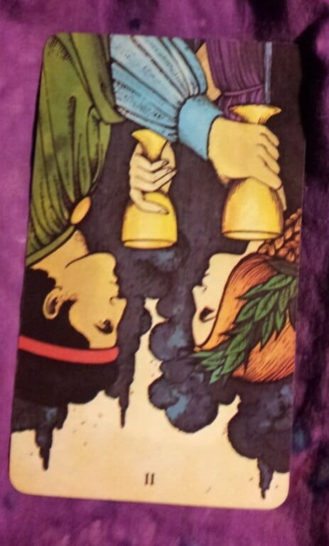 06/24/12: Don’t spill the whine | rev 2 Cups