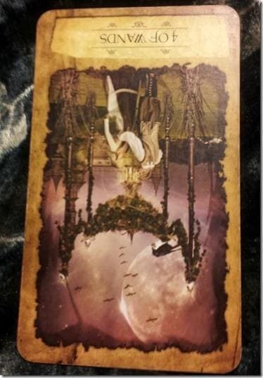08/28/12: Noticing the Love | 4 of Wands