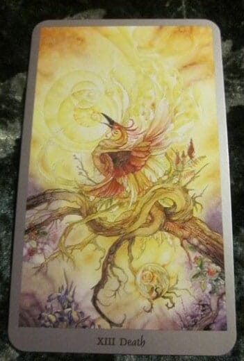 08/02/12: Cycle of Life | Death