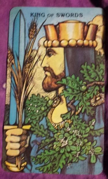 08/31/12: Chores | King of Swords