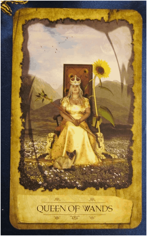 Stubborn Enough – Queen Wands