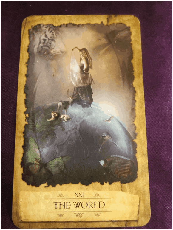 Deserved Windfalls: The World