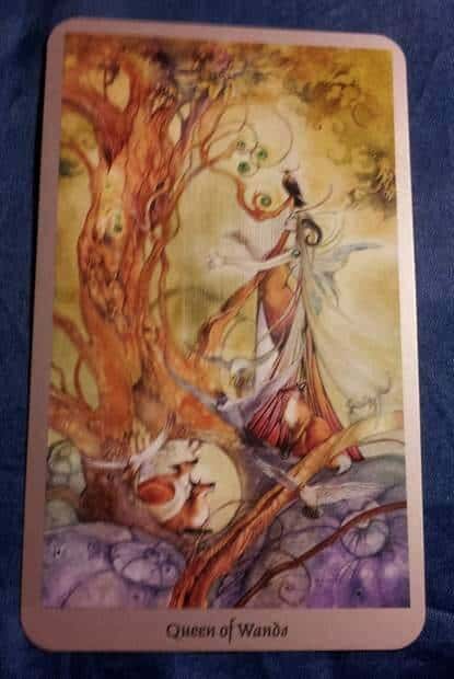 09/28/12: CONFIDENCE! | Queen of Wands
