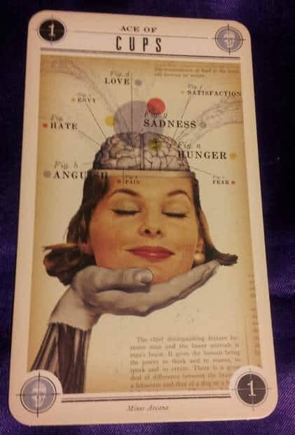 10/28/12: Tiny Feelings | Ace of Cups