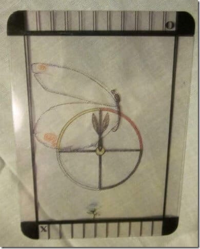 11/24/12: Wilderness Unexplored | Fool, Wheel