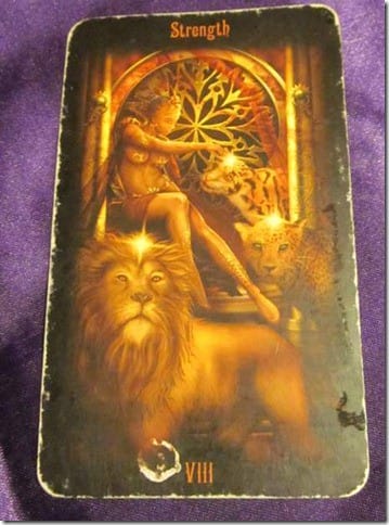 12/27/12: Quiet Power | Strength