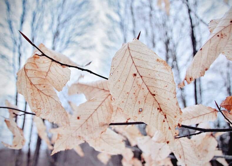 Weathering Raw Emotional Weather