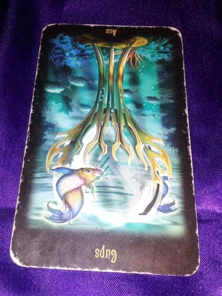 02/03/13: Slow Leaks | Reversed Ace of Cups