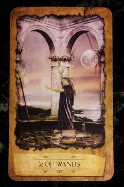 03/12/13: Make Fertilizer / 2 of Wands Everyday Tarot