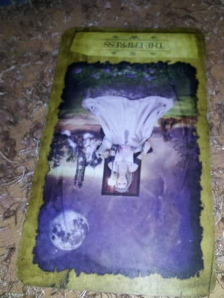 04/05/13: Undone Bun /Empress rx Everyday Tarot