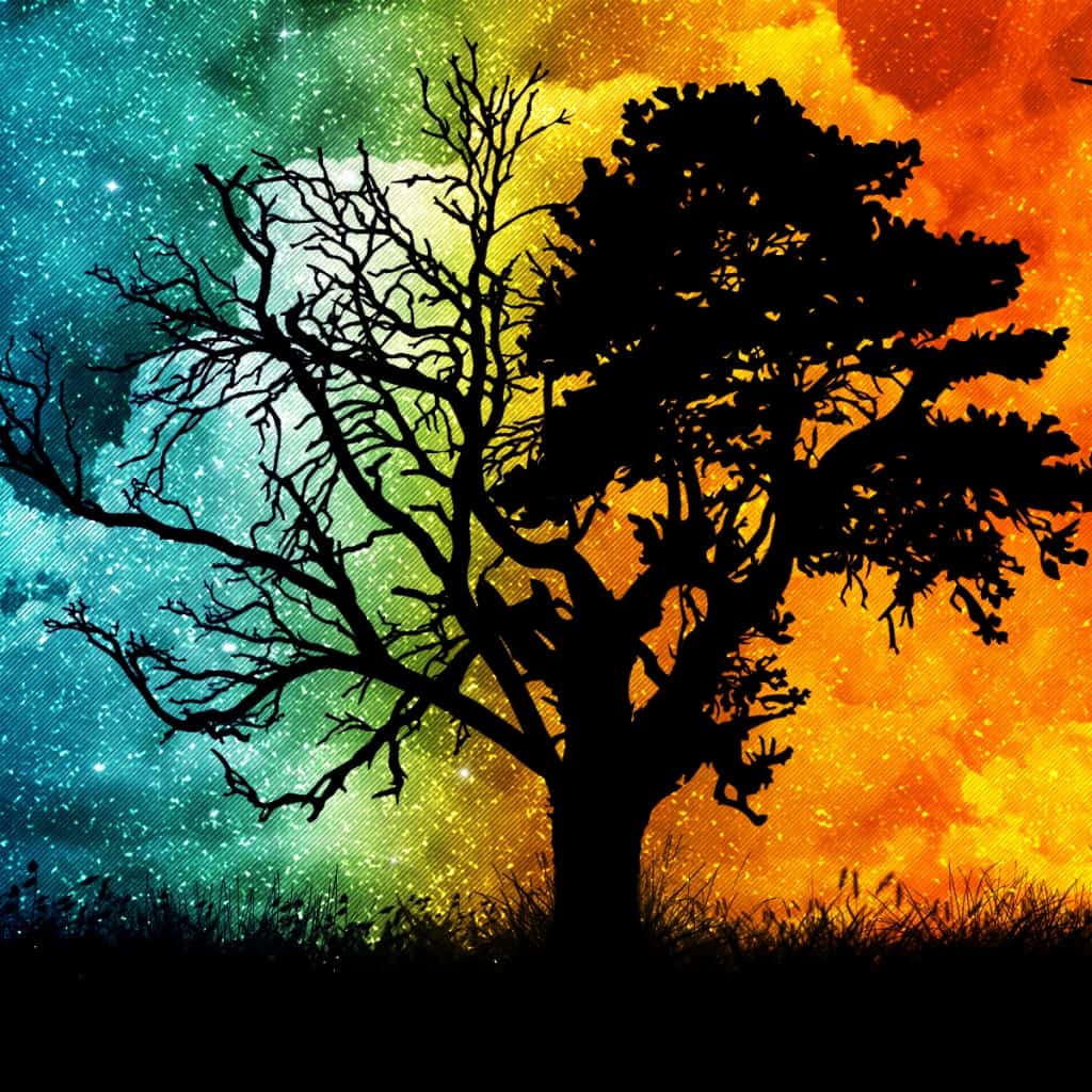 Shadow, Light and Redemption: Explaining Evil