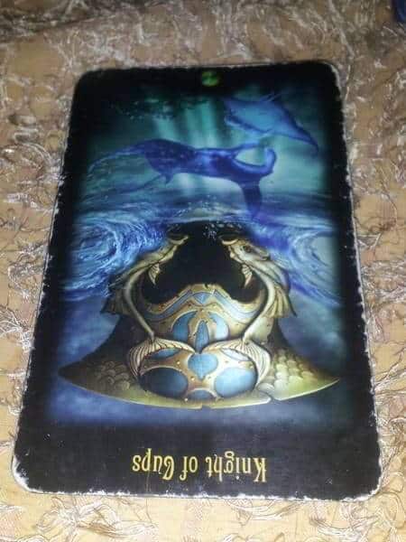 05/05/13: Self-Righteous Drunk / rev Knight Cups