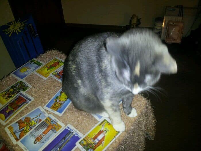 Mercury Wreck-trograde!