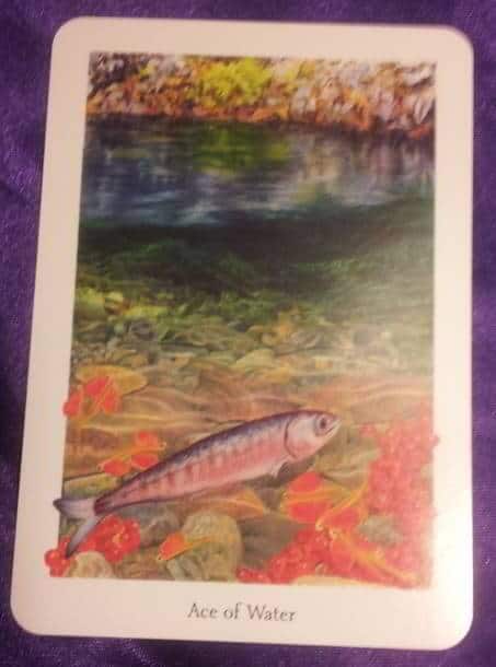 08/17/13: Diving Deep and True /Ace of Cups