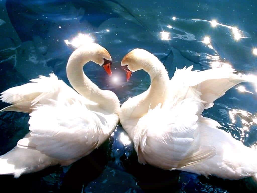 Truth About Romance from a Tarot Reader