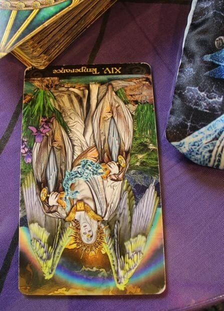11/24/13: Misplaced Evangelism / Temperance Reversed