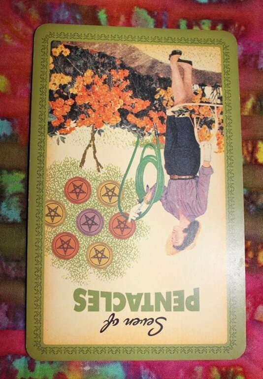 12/27/13: New Recipes / 7 Pentacles Rx Everyday Tarot