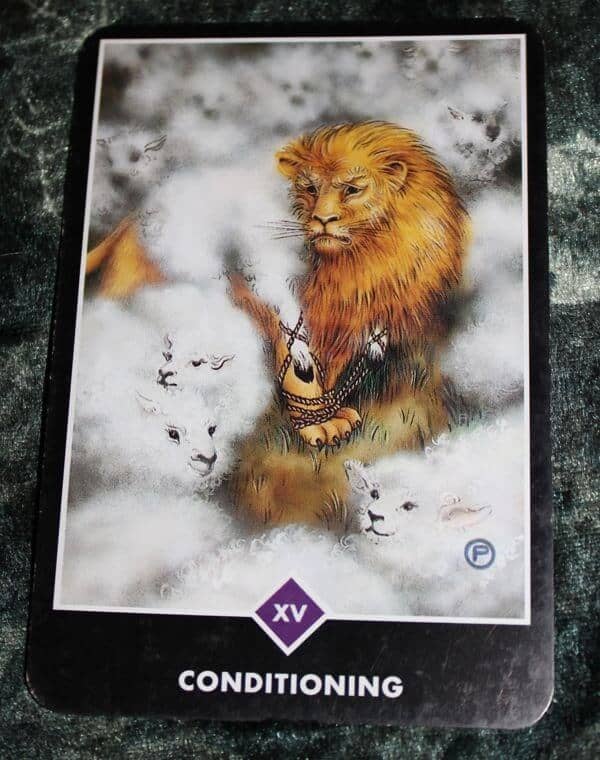 01/02/14: Beware Golden Handcuffs / Devil