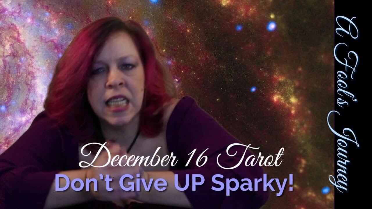 Dec. 16 Weekly Forecast: Don’t Give Up, Sparky. You can do it!