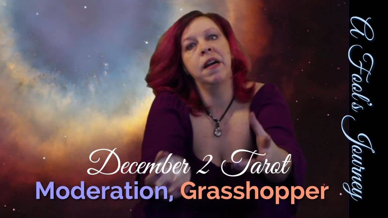 Weekly Tarot Forecast: Moderation, Grasshopper!