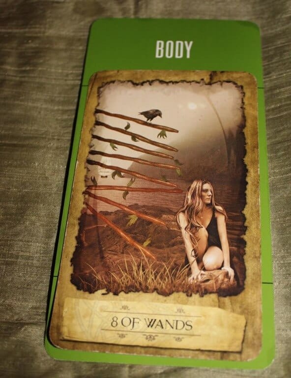 01/28/14: Junk the Junk Food! / 8 of Wands