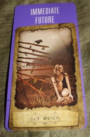 01/25/14: Unsettled / 8 of Wands