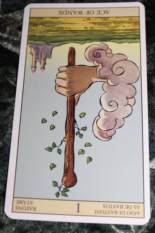 01/06/14: Shooting Blanks / Reversed Ace of Wands