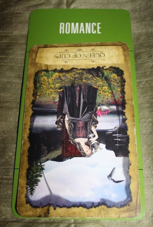 02/01/14: Roller Coaster Love Life / Queen of Cups Rx