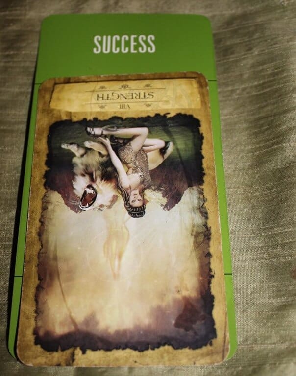 01/29/14: Gambling Success / Strength Rx