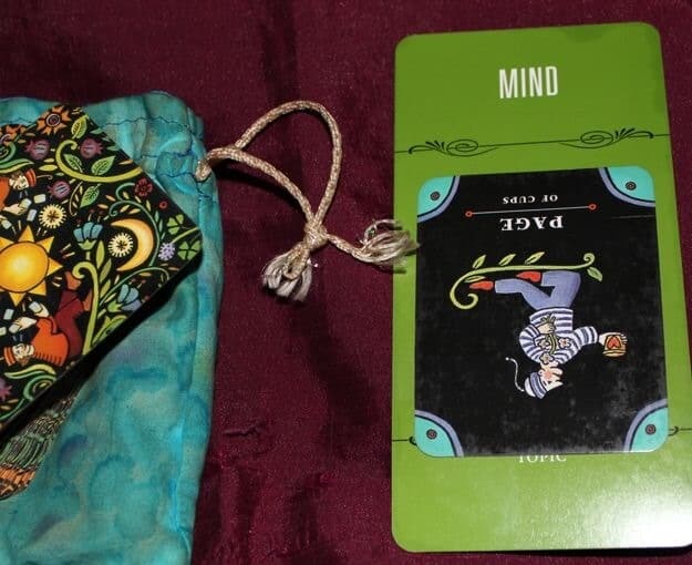 03/01/14:  Muddled Thinking / Page of Cups Rx