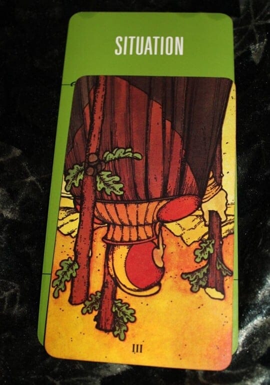 02/05/14: Oddly Wrapped Gifts / 3 of Wands Rx