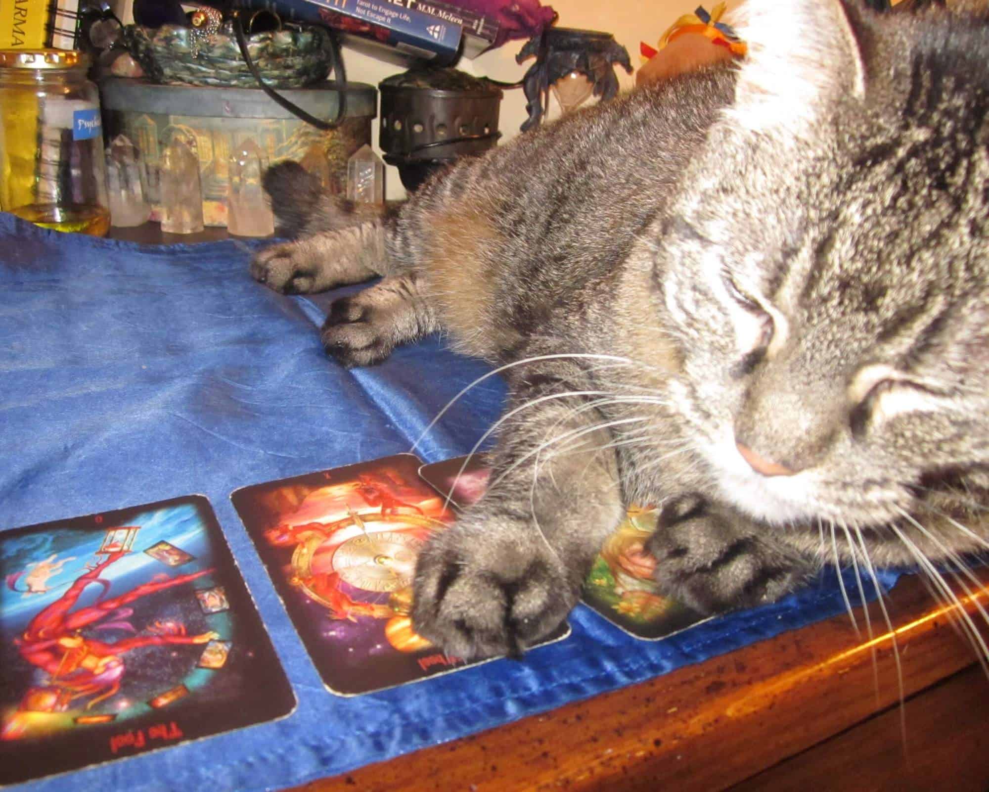 Tarot Kitty Helpers Magick