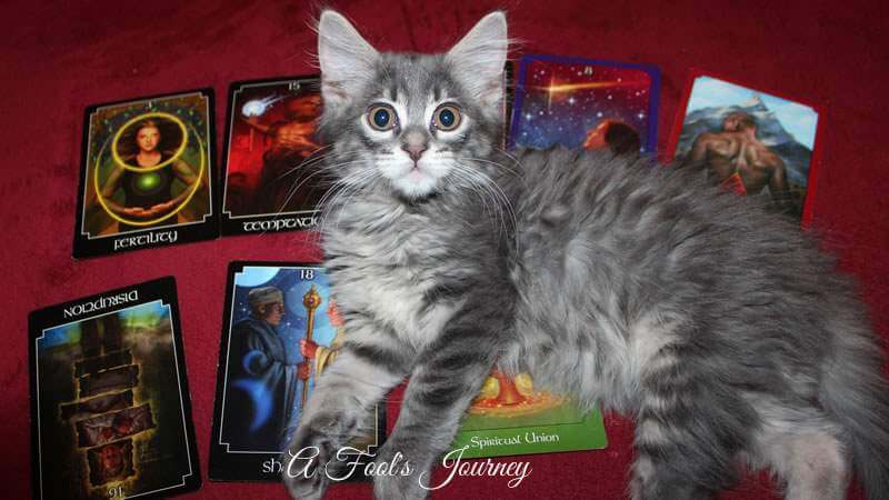 weekly tarot forecast aug 2 - 8