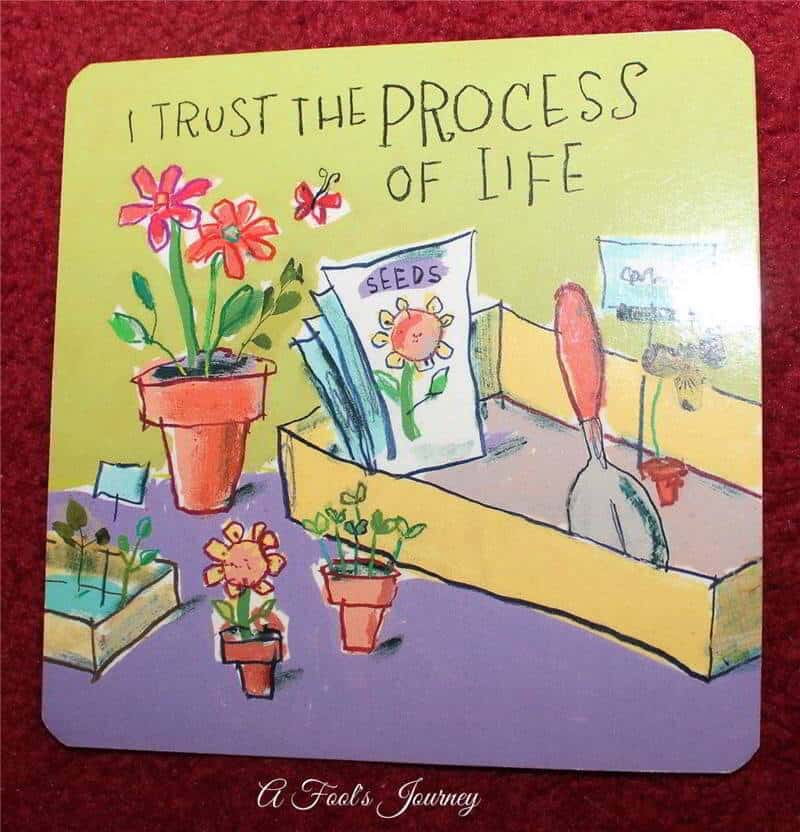 I trust the process of life.
