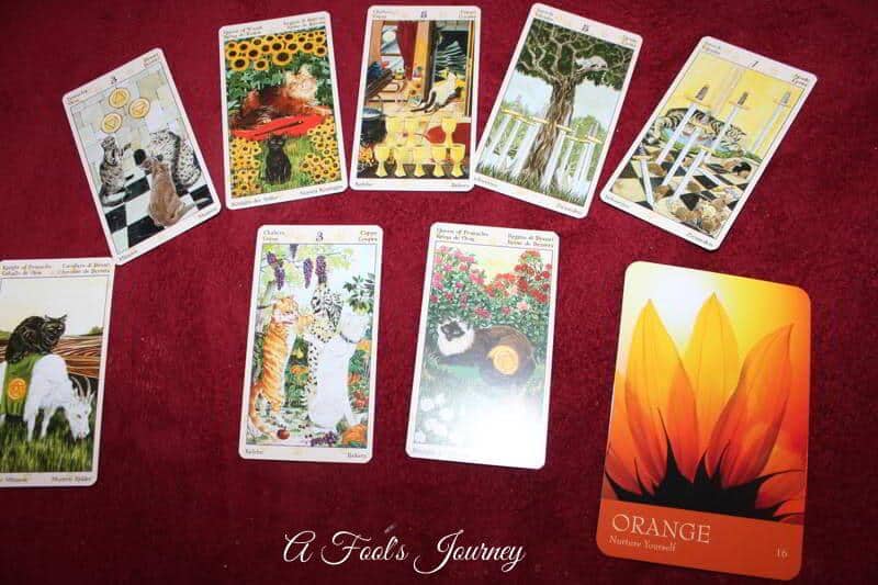 weekly tarot forecast sept 6 -13 2015